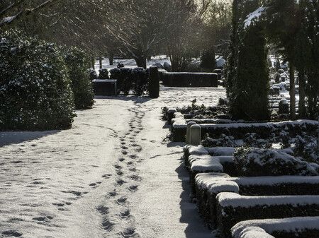 Billede af fodspor i sne på kirkegård